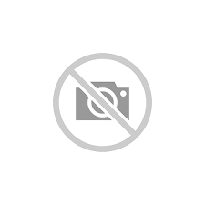 Primary Raster logo